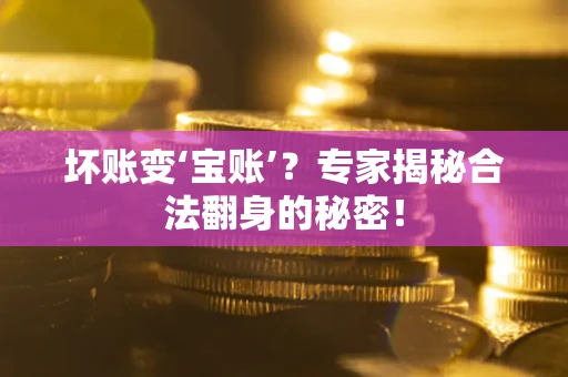 济南坏账变‘宝账’？专家揭秘合法翻身的秘密！
