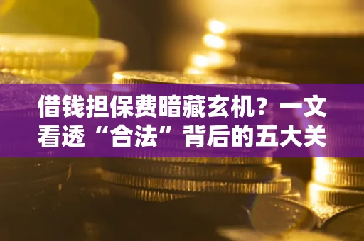 济南借钱担保费暗藏玄机？一文看透“合法”背后的五大关键陷阱