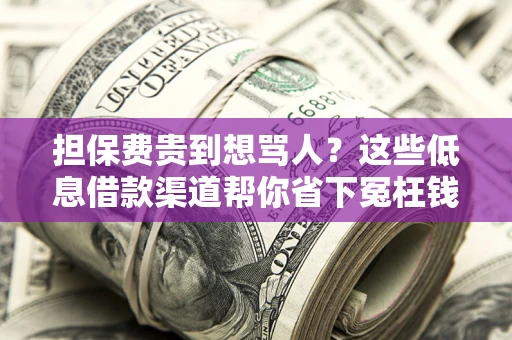 济南担保费贵到想骂人？这些低息借款渠道帮你省下冤枉钱