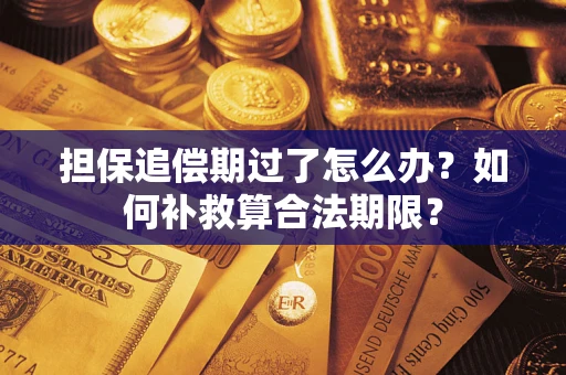 济南担保追偿期过了怎么办？如何补救算合法期限？