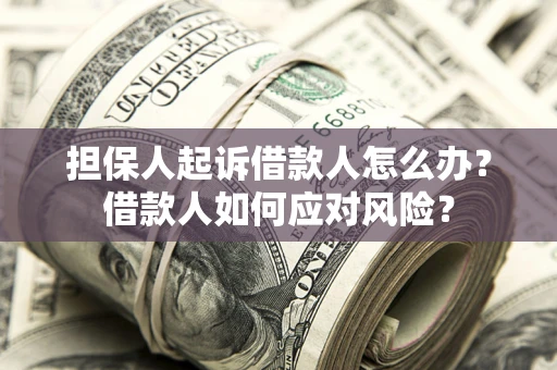 济南担保人起诉借款人怎么办？借款人如何应对风险？
